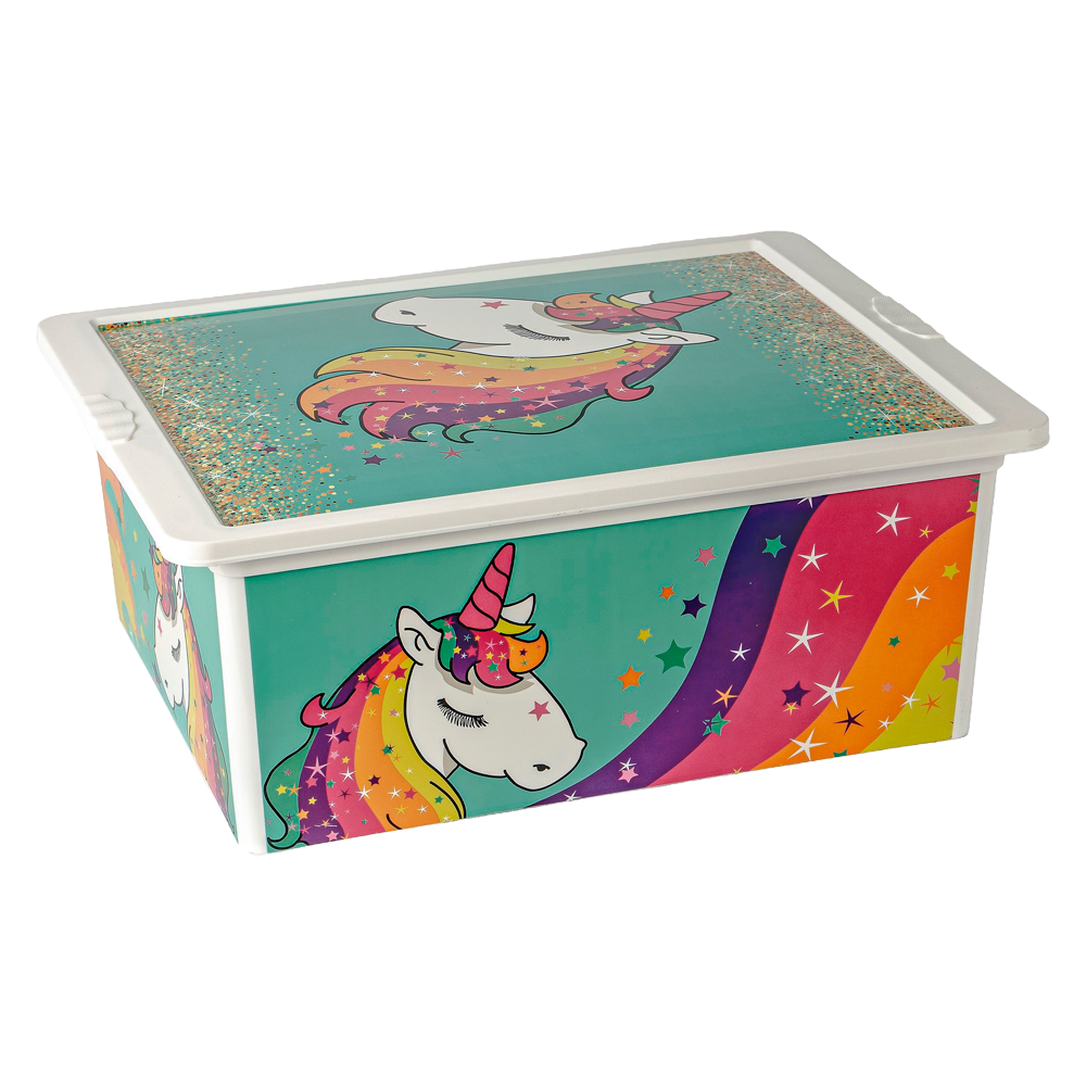 OR-17L/59 / Caixas Decoradas 17L / Caixa Estampada com Tampa