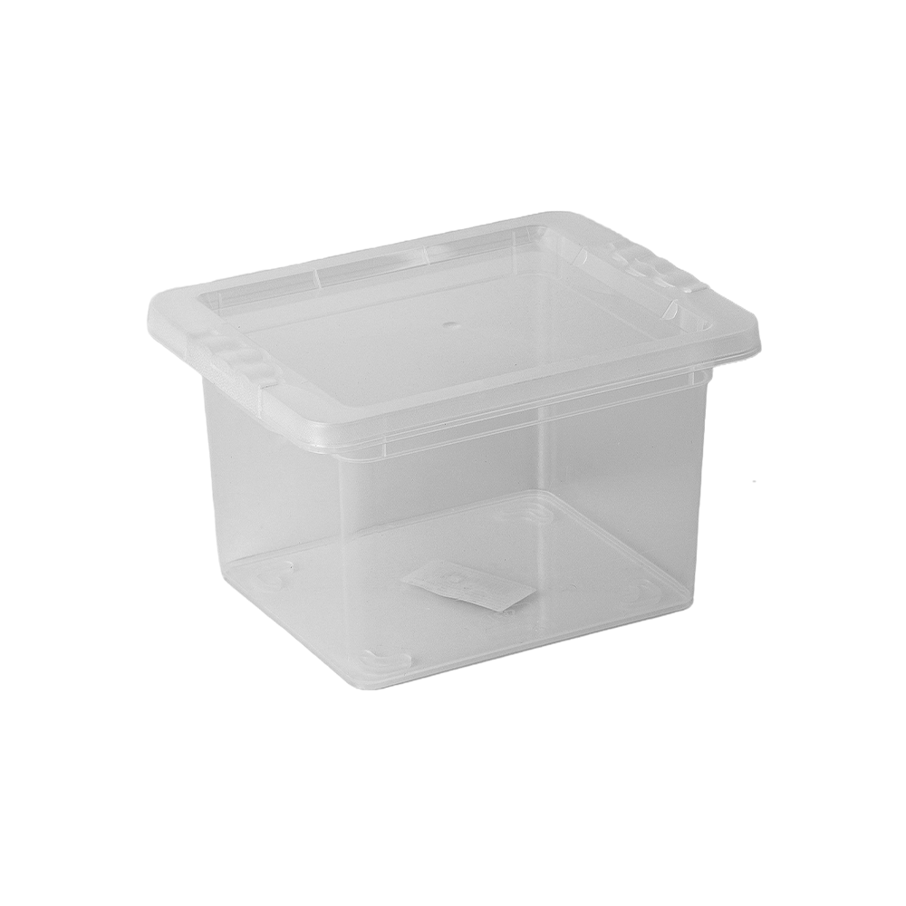 OR-18 / Caixas Organizadoras 2,3L / Caixa com Tampa