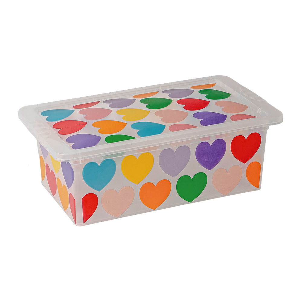 OR-16/04 / Caixas Decoradas 5,5L / Caixa Estampada com Tampa