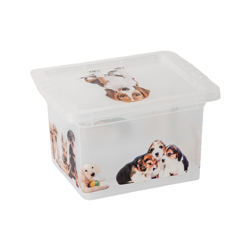 OR-18L/06 / Caixas Decoradas 2,3L  / Caixa Estampada com Tampa