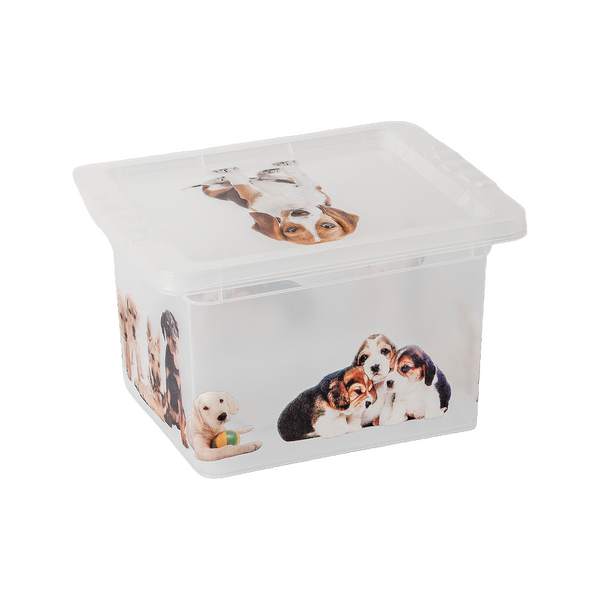 OR-18L/06 / Caixas Decoradas 2,3L  / Caixa Estampada com Tampa